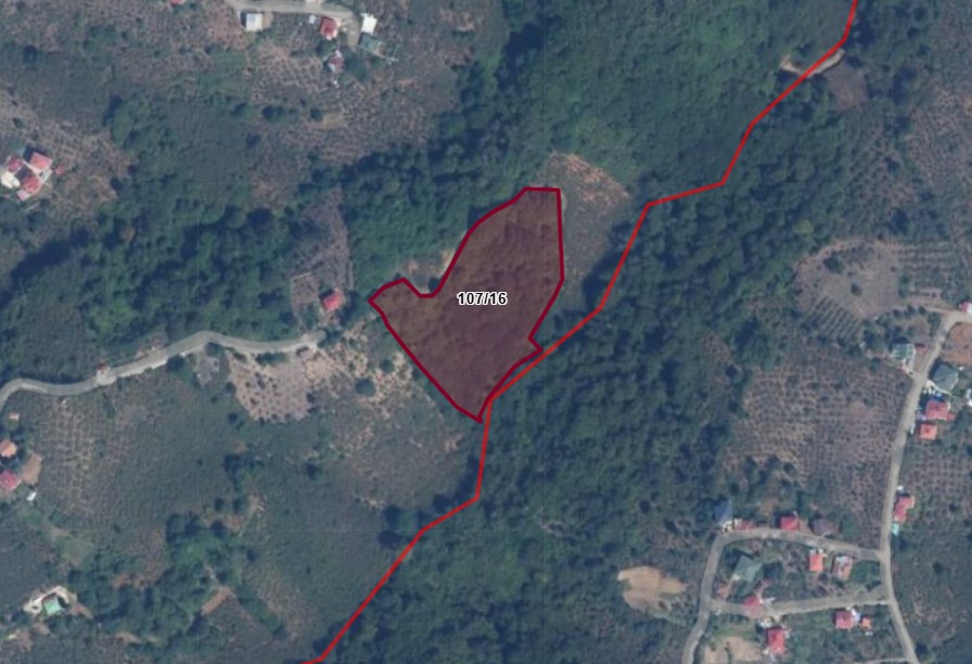MABEL'DEN BEŞİKDÜZÜ AKSAKLI'DA 10.000 M2 SATILIK ARAZİ